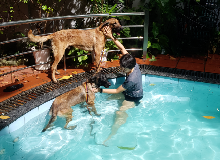 Minh Toàn là một huấn luyện viên tuyệt vời