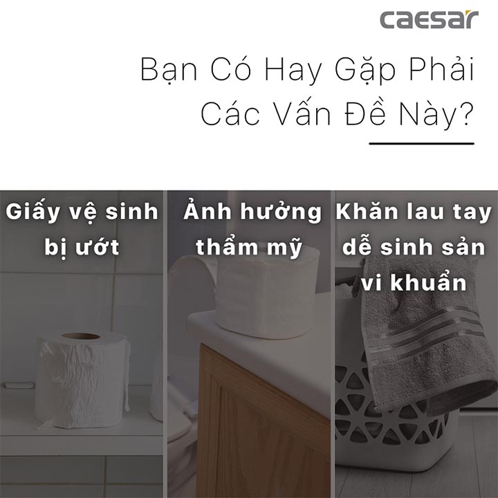 Hộp khăn giấy Caesar ST804V