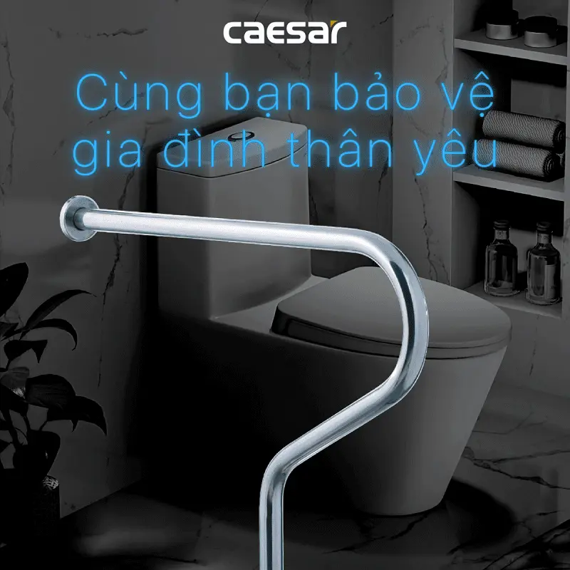 Thanh Vịn Inox Caesar GB104V Gắn Tường Ø32 750mm