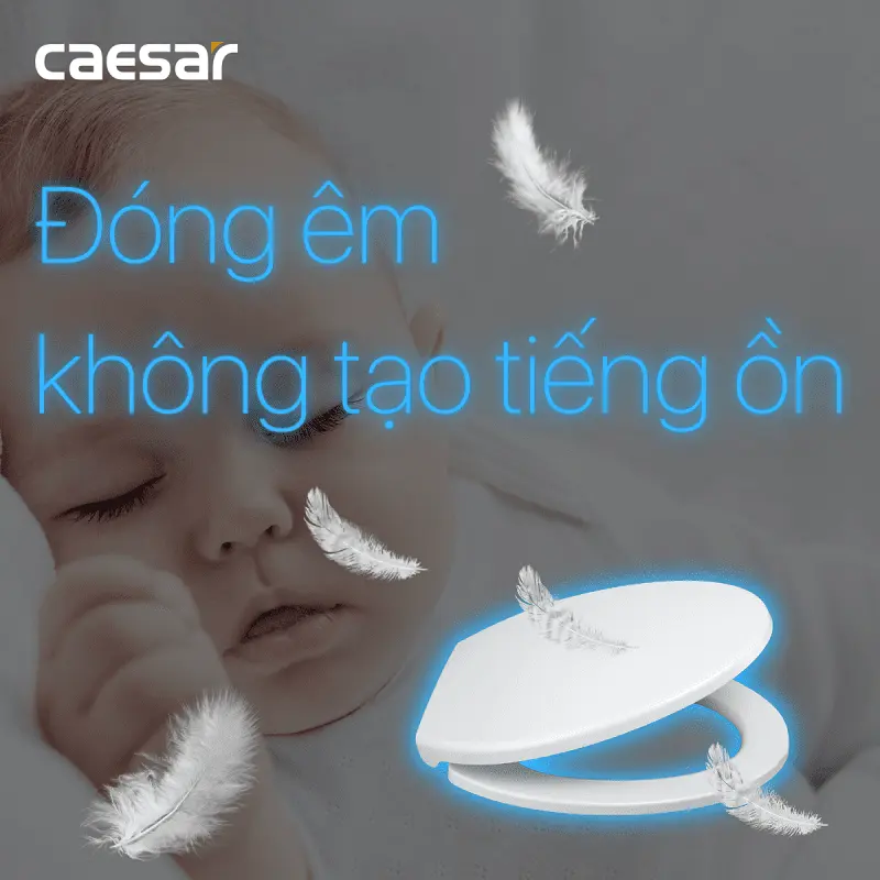 Nắp Bàn Cầu Caesar MU234 Rơi Êm