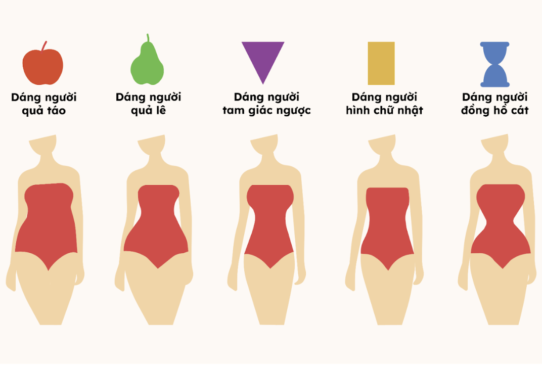 Nhận Biết 5 Dáng Người Cơ Bản Để Chọn Đồ Đẹp Hơn