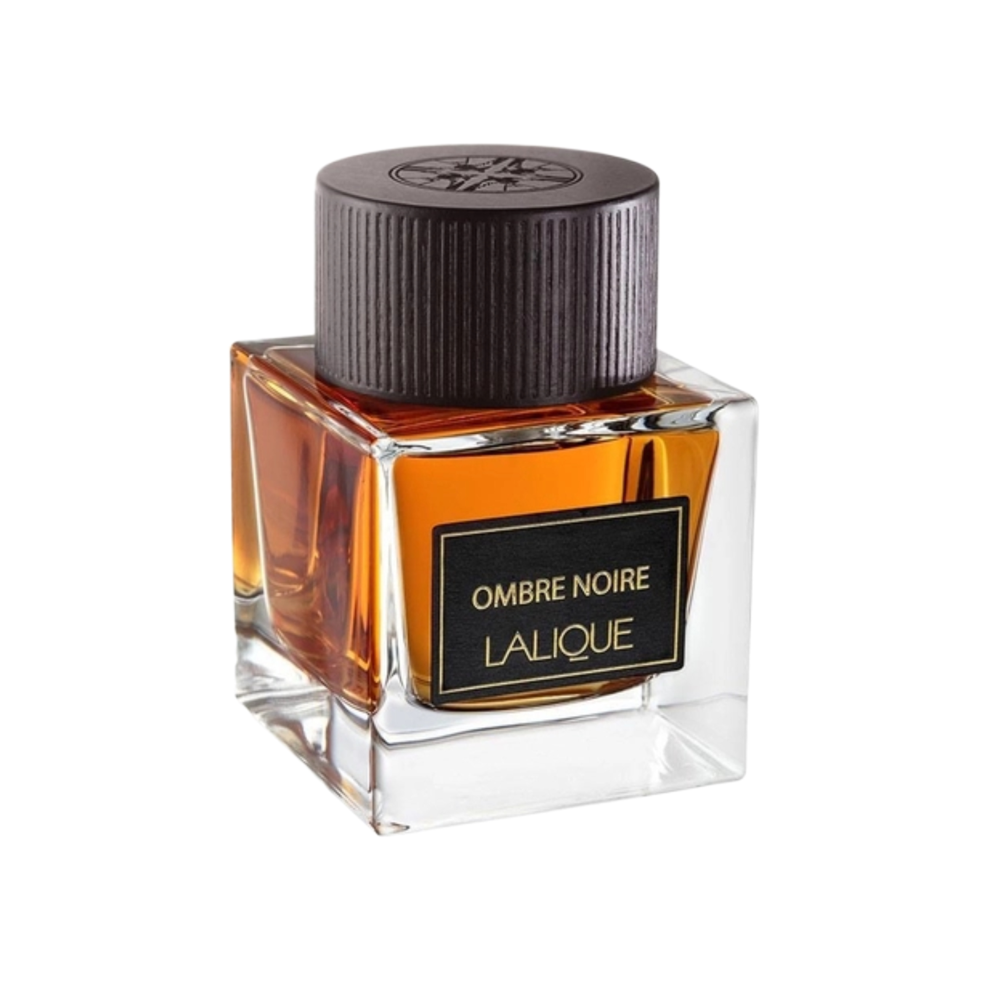 Lalique Ombre Noire Pour Homme EDP