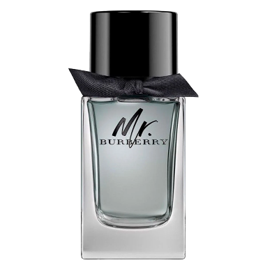 BURBERRY Mr. Burberry Eau de Toilette