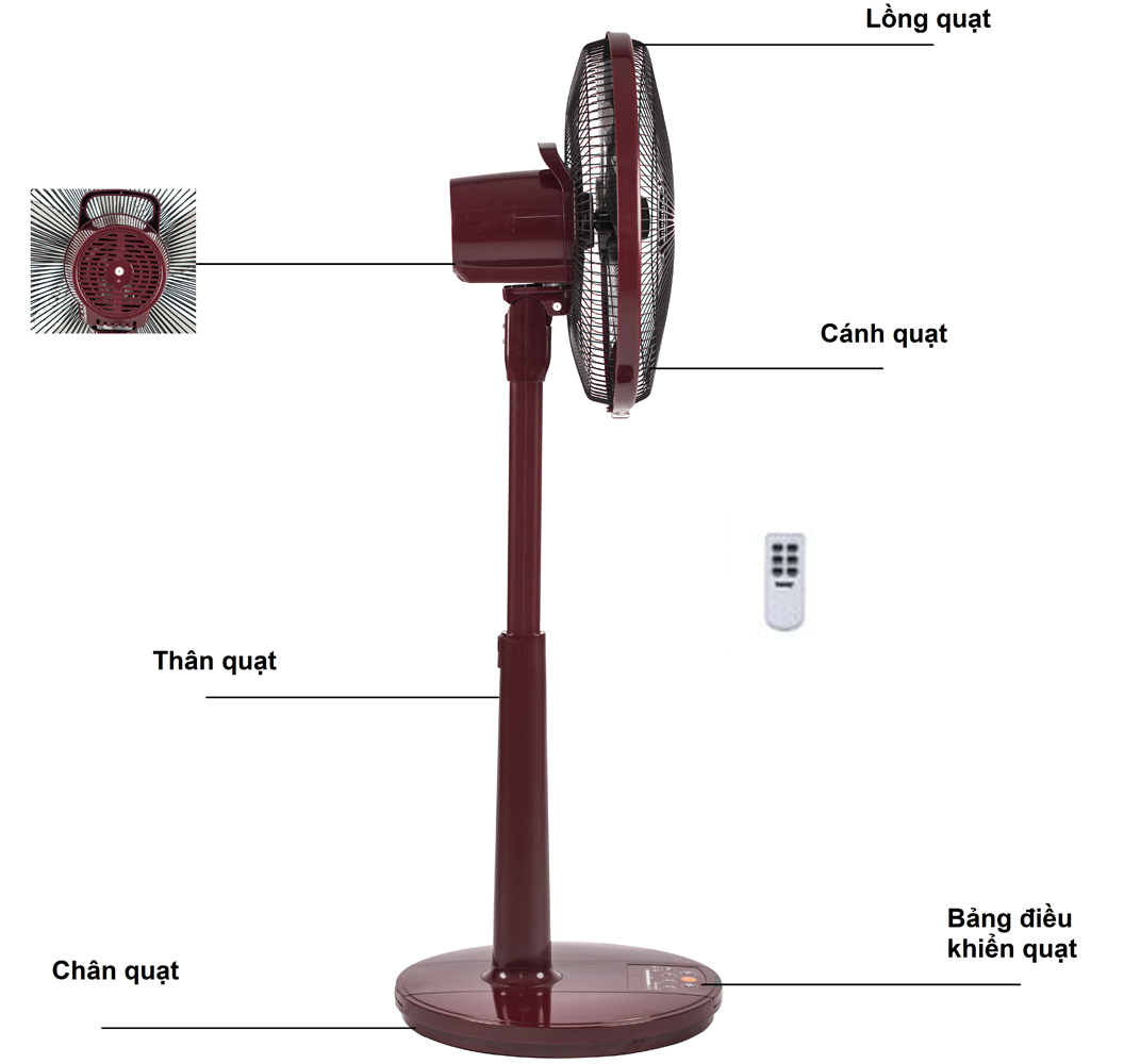 Quạt cây Benny BF-35DC