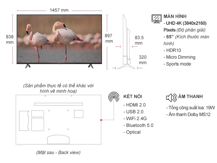Smart Tivi TCL 4K 65 inch 65P6K