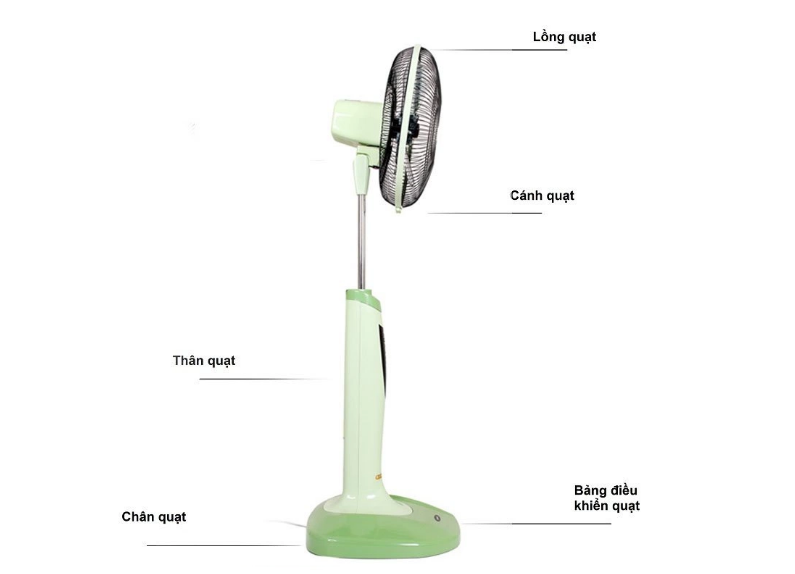 Quạt cây Benny BF-49T (có điều khiển từ xa)