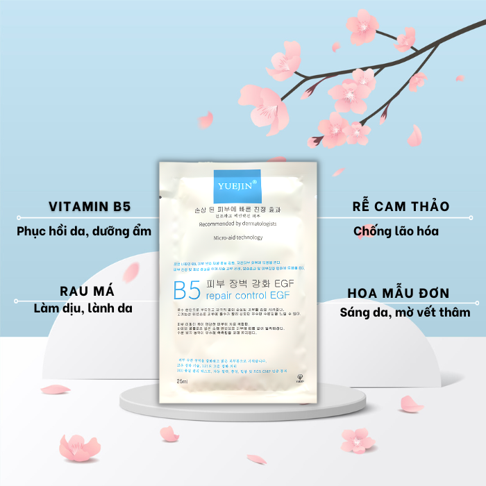 Mặt nạ dưỡng ẩm phục hồi da B5 Yuejin Repair Control EFG 25ml Combo 10 miếng