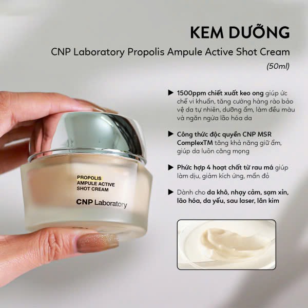 e217 - CNP - Kem Dưỡng Ẩm Keo Ong Dạng Dầu Propolis Ampule Oil in Cream 50g