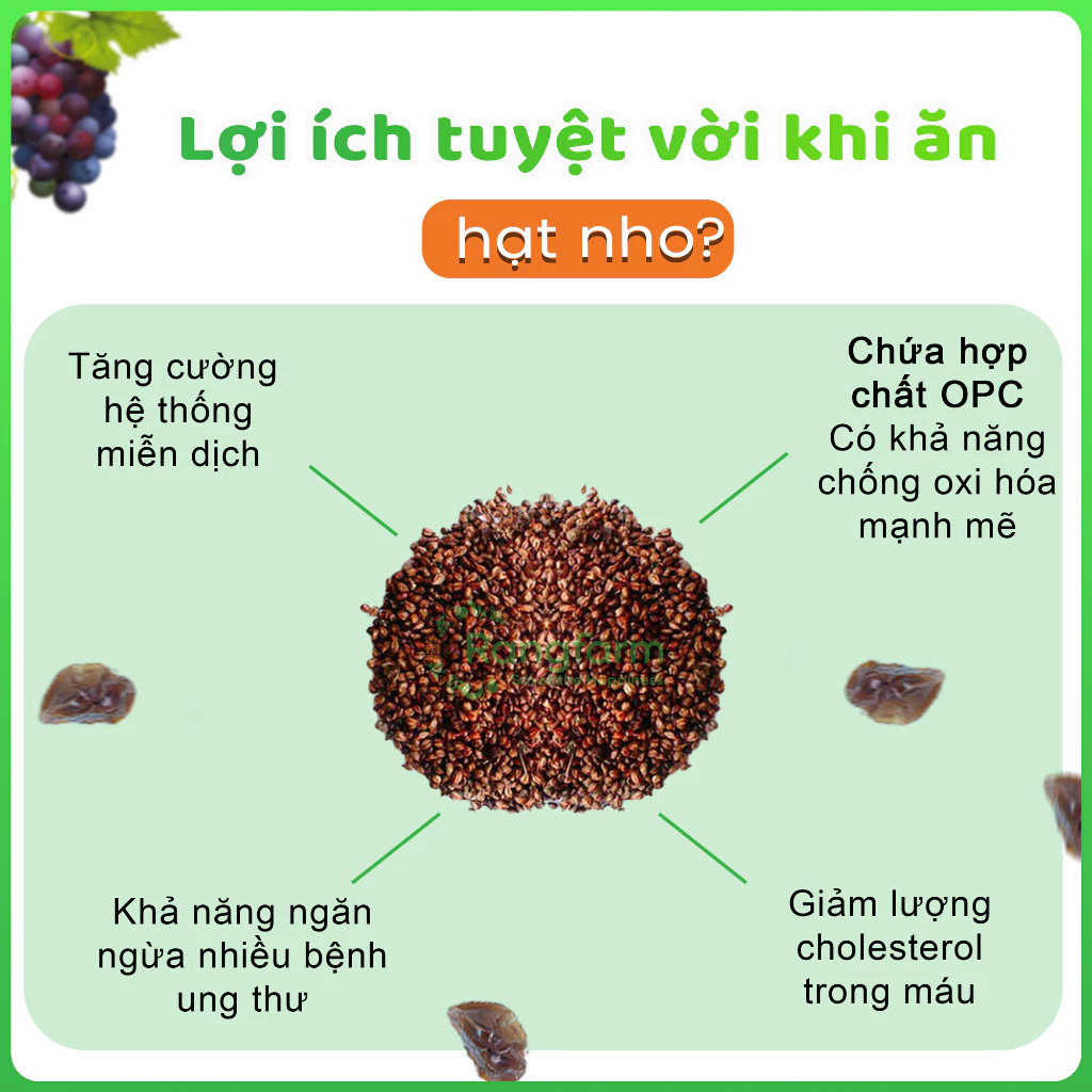 e580 - Nho Đỏ Sấy Lạnh Không Đường Rangfarm 220g (Có hạt ăn cả hạt)