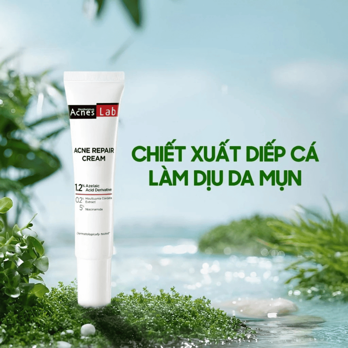 f348 - Kem dưỡng da giảm mụn chuyên sâu Rohto Acnes Lab Acne Repair Cream 20g