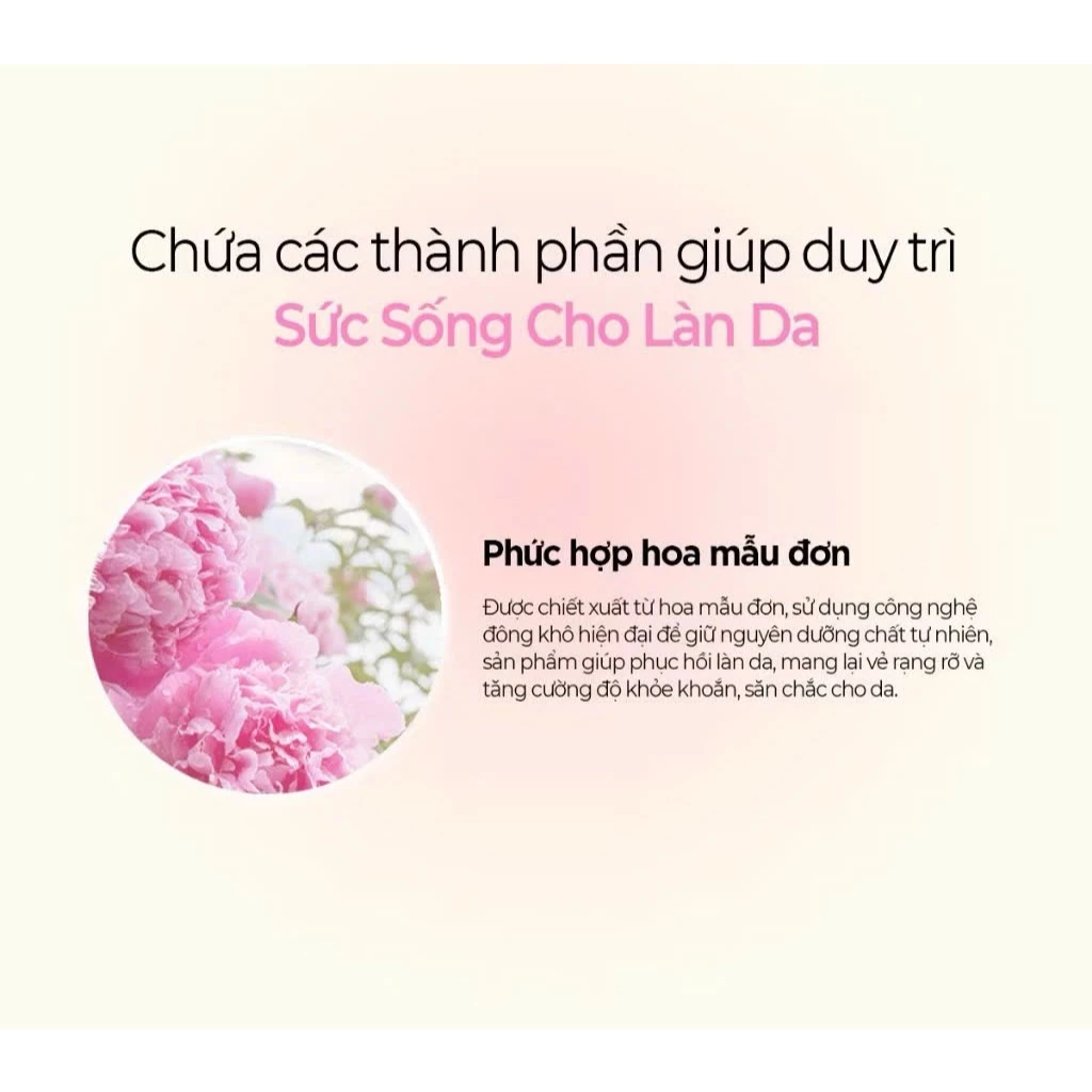a33 - Phấn Nước Klavuu Actress Backstage Boosting Cushion 12g