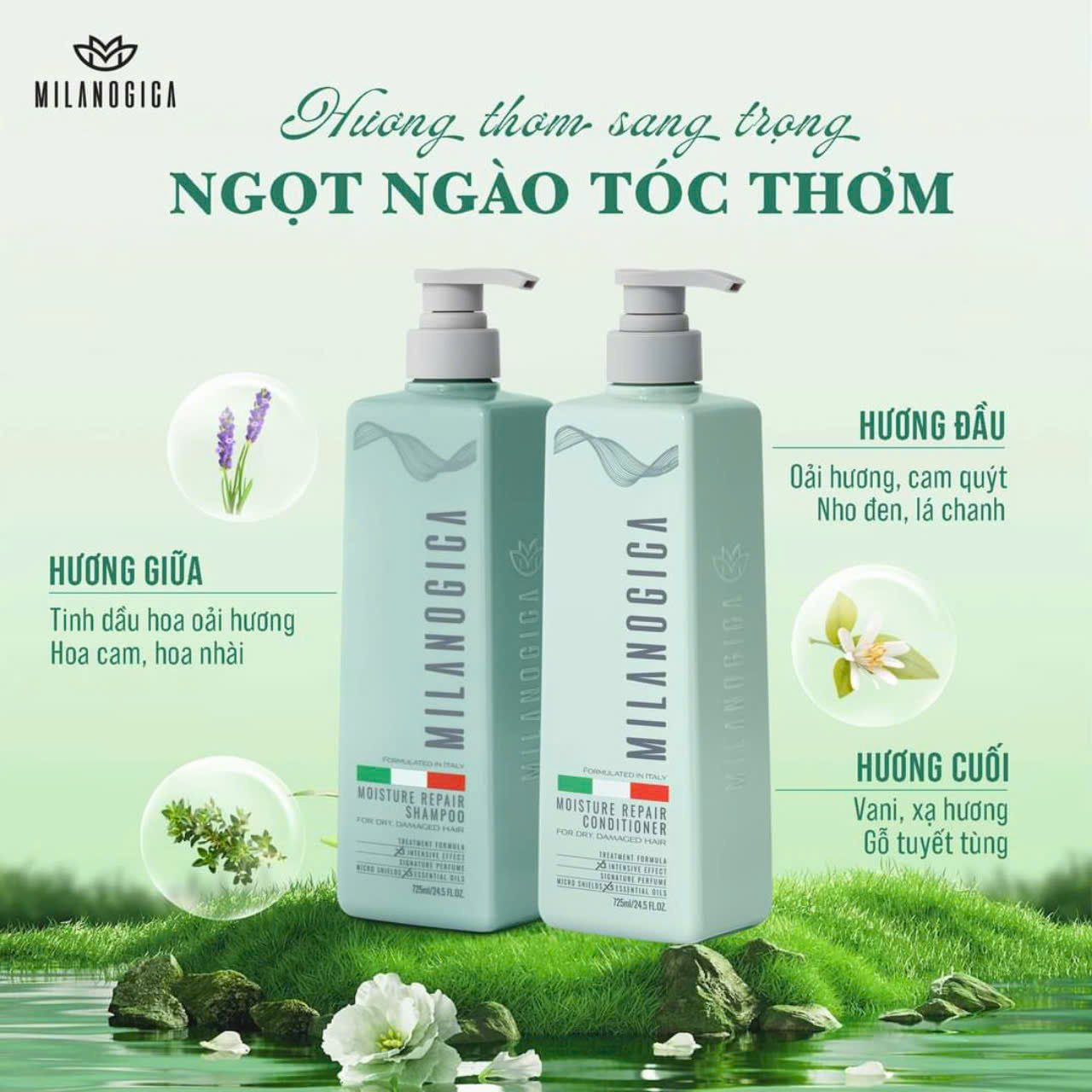 Bộ Dầu Gội Xả Hương Nước Hoa Phục Hồi, Giúp Tóc Sạch Gàu Milanogica Shampoo / Conditioner 355ml - 725ml