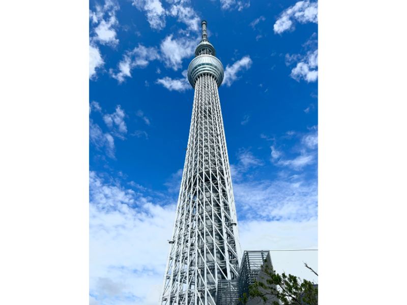 Những cái gọi là 