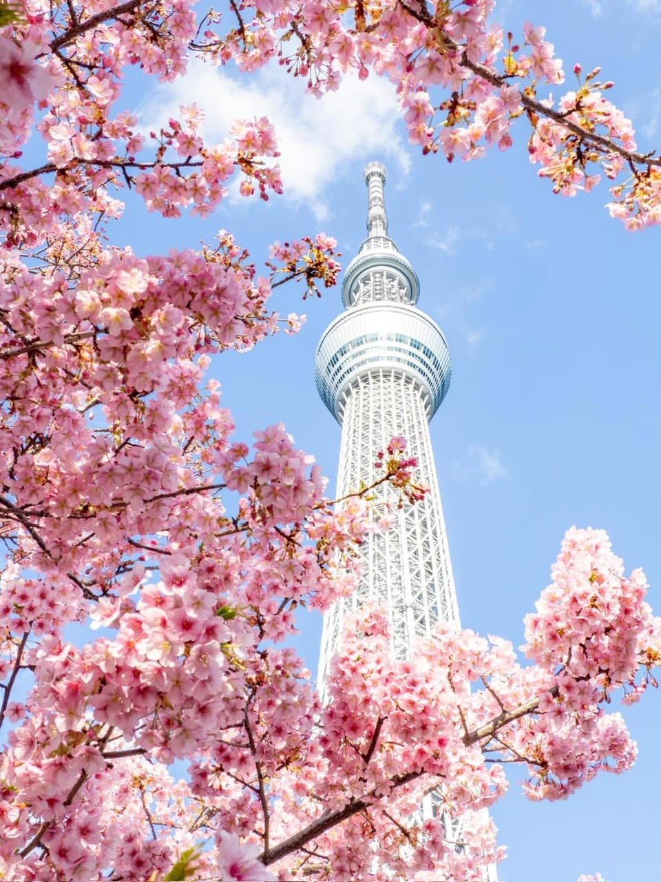 ほどなく、お別れです。- Rồi cũng sắp đến lúc nói lời tạm biệt