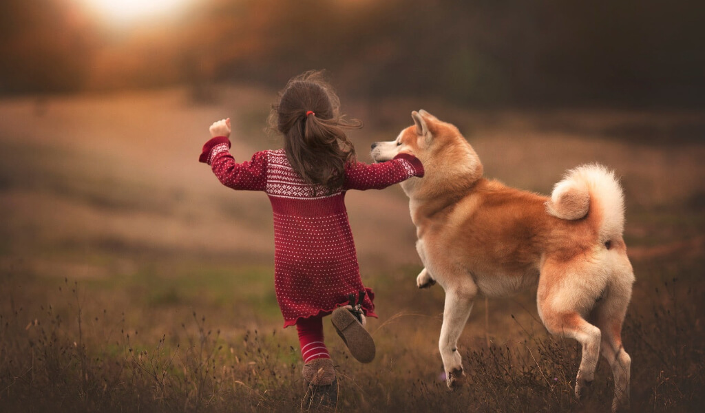 Tình yêu giống như một con chó, mình đuổi thì nó chạy mình chạy thì nó lại đuổi