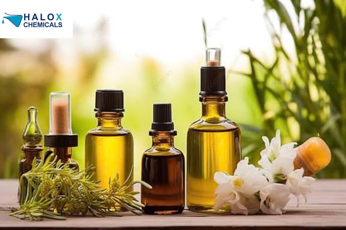 Xu hướng mùi hương nước giặt 2026