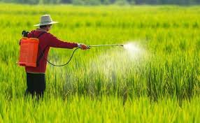 Hoá Chất Ngành Thuốc Bảo Vệ Thực Vật