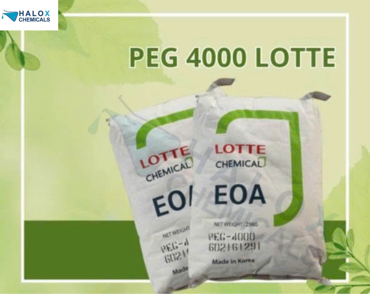 Lotte PEG 4000