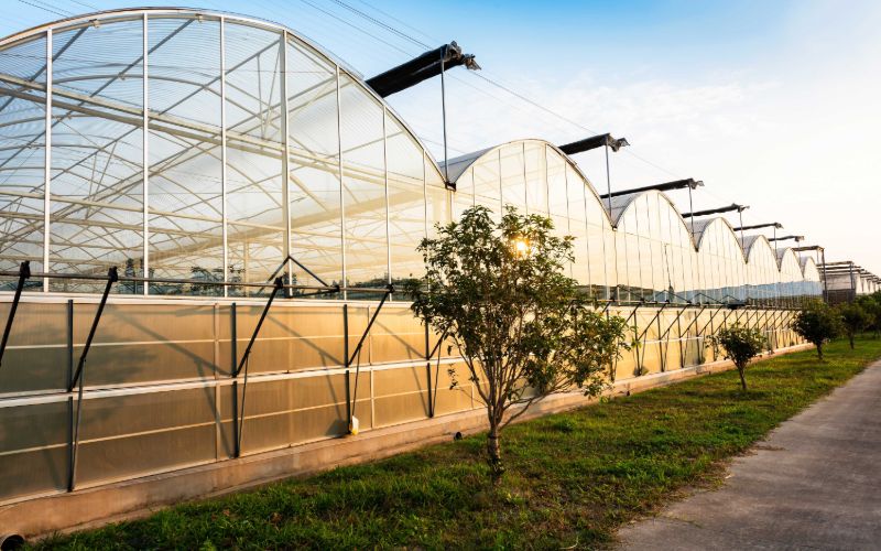 Công ty TNHH HaloX Việt Nam