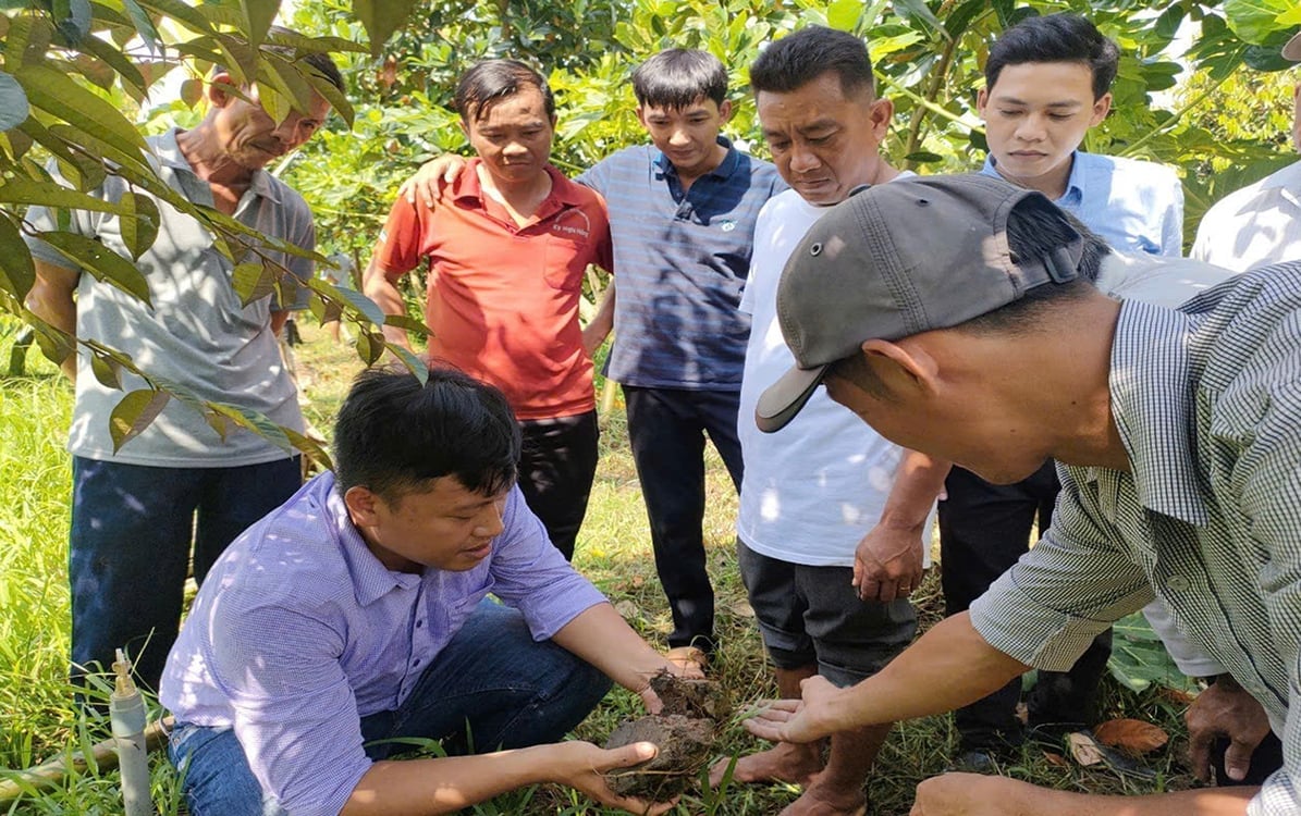 Giữ đất sạch, vững mùa vàng