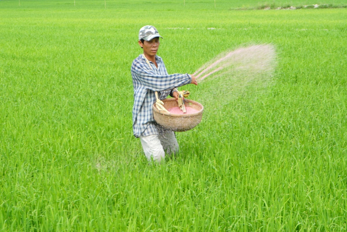 Mở rộng mô hình tưới ngập - khô xen kẽ