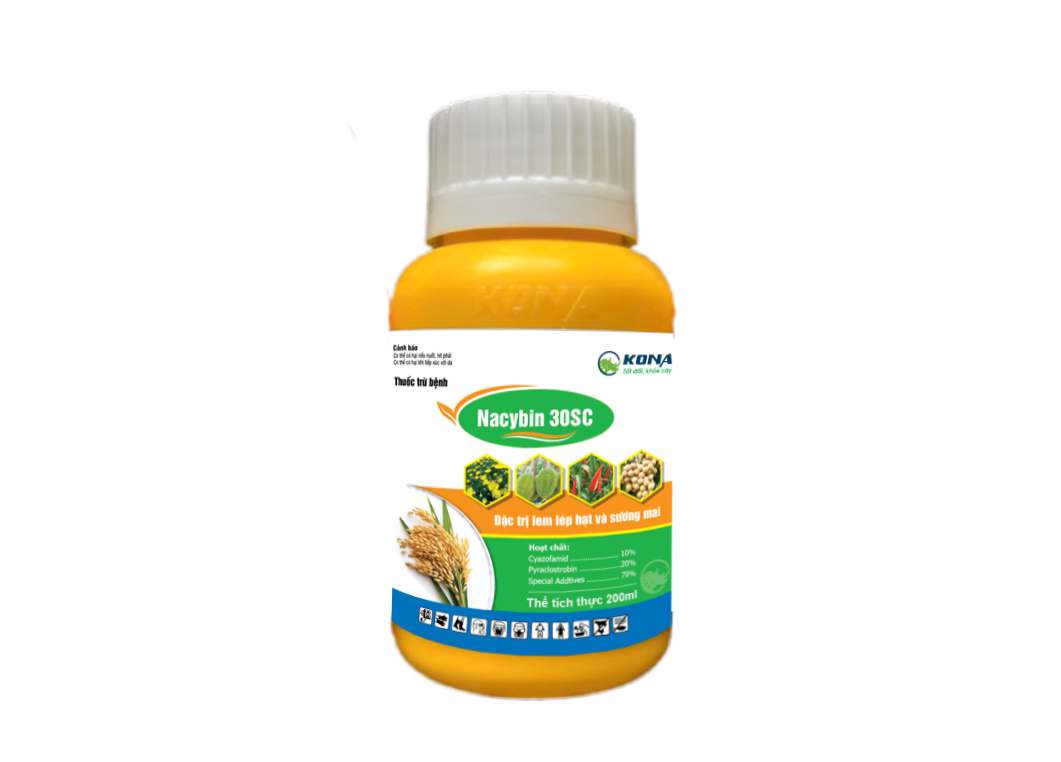 Lem lép hạt trên cây lúa