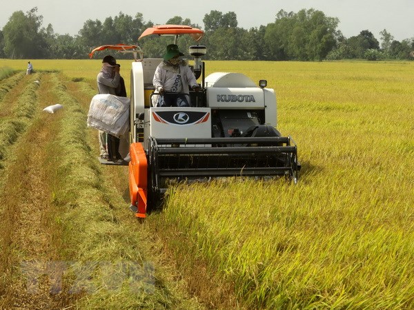 Hậu Giang: Muốn thu hoạch nông sản phải có xét nghiệm âm tính