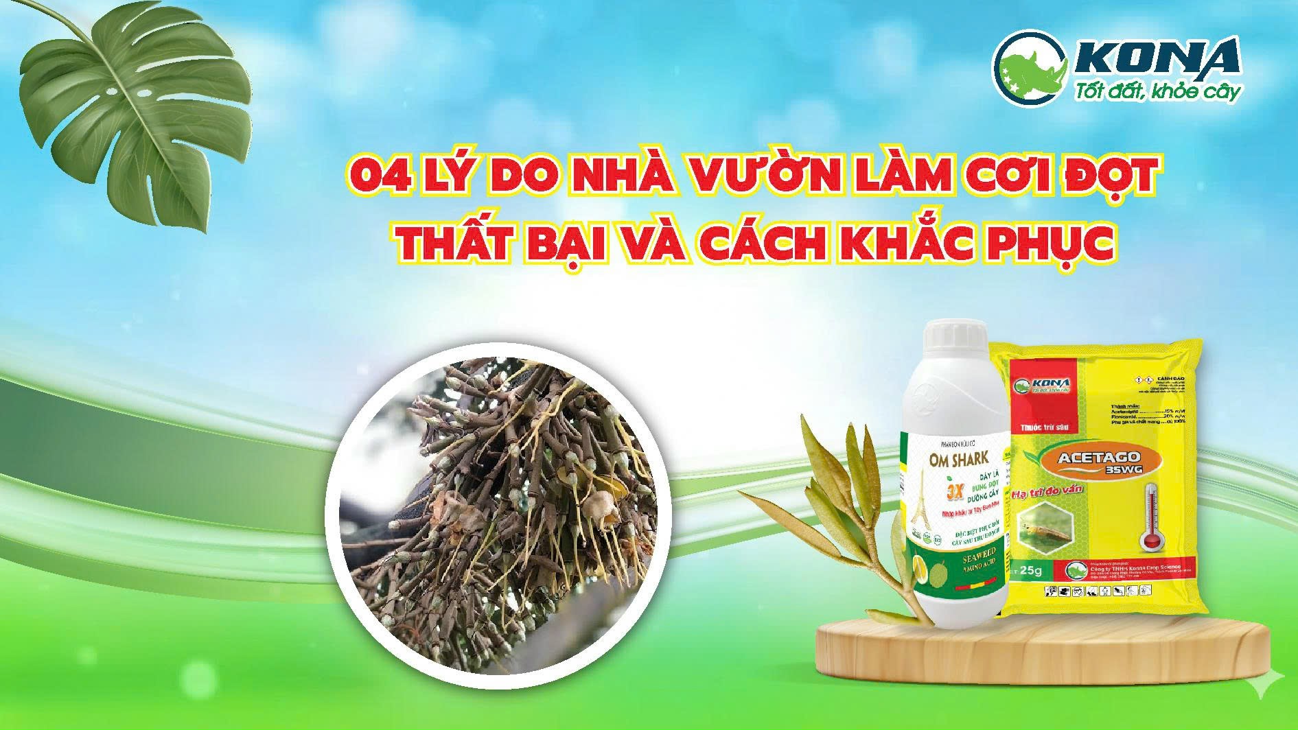 4 LÝ DO NHÀ VƯỜN LÀM CƠI ĐỌT THẤT BẠI VÀ CÁCH KHẮC PHỤC