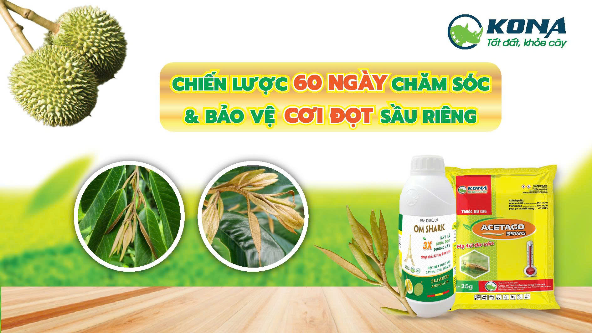 CHIẾN LƯỢC 60 NGÀY CHĂM SÓC VÀ BẢO VỆ CƠI ĐỌT SẦU RIÊNG