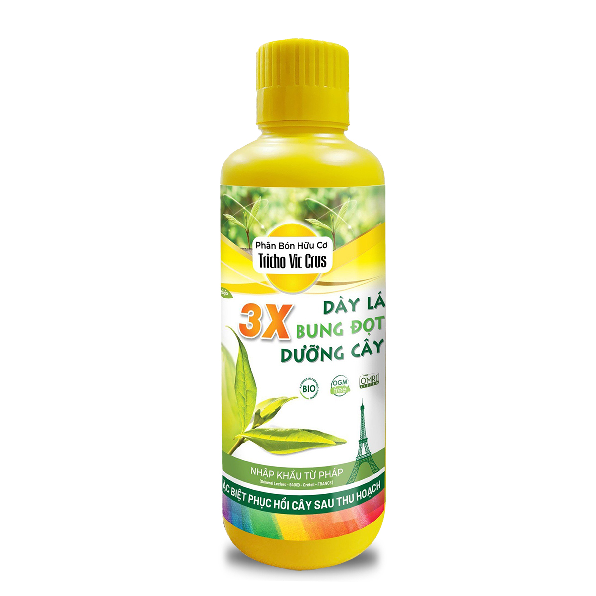 3X - Phục hồi