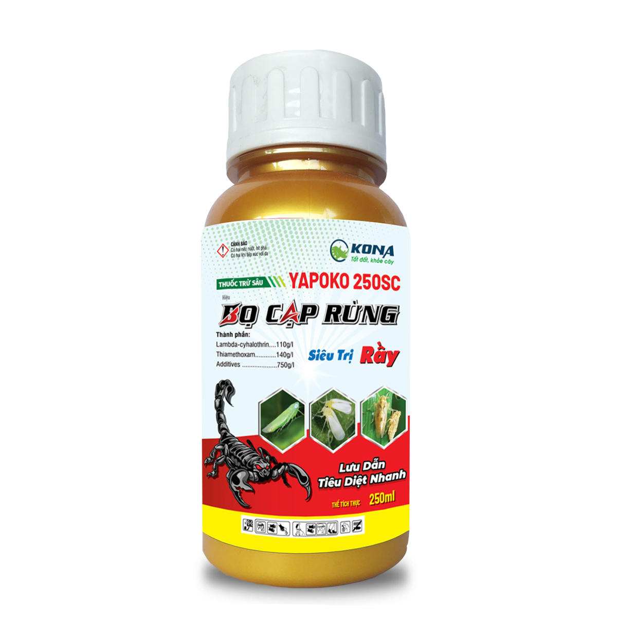 Bọ cạp rừng