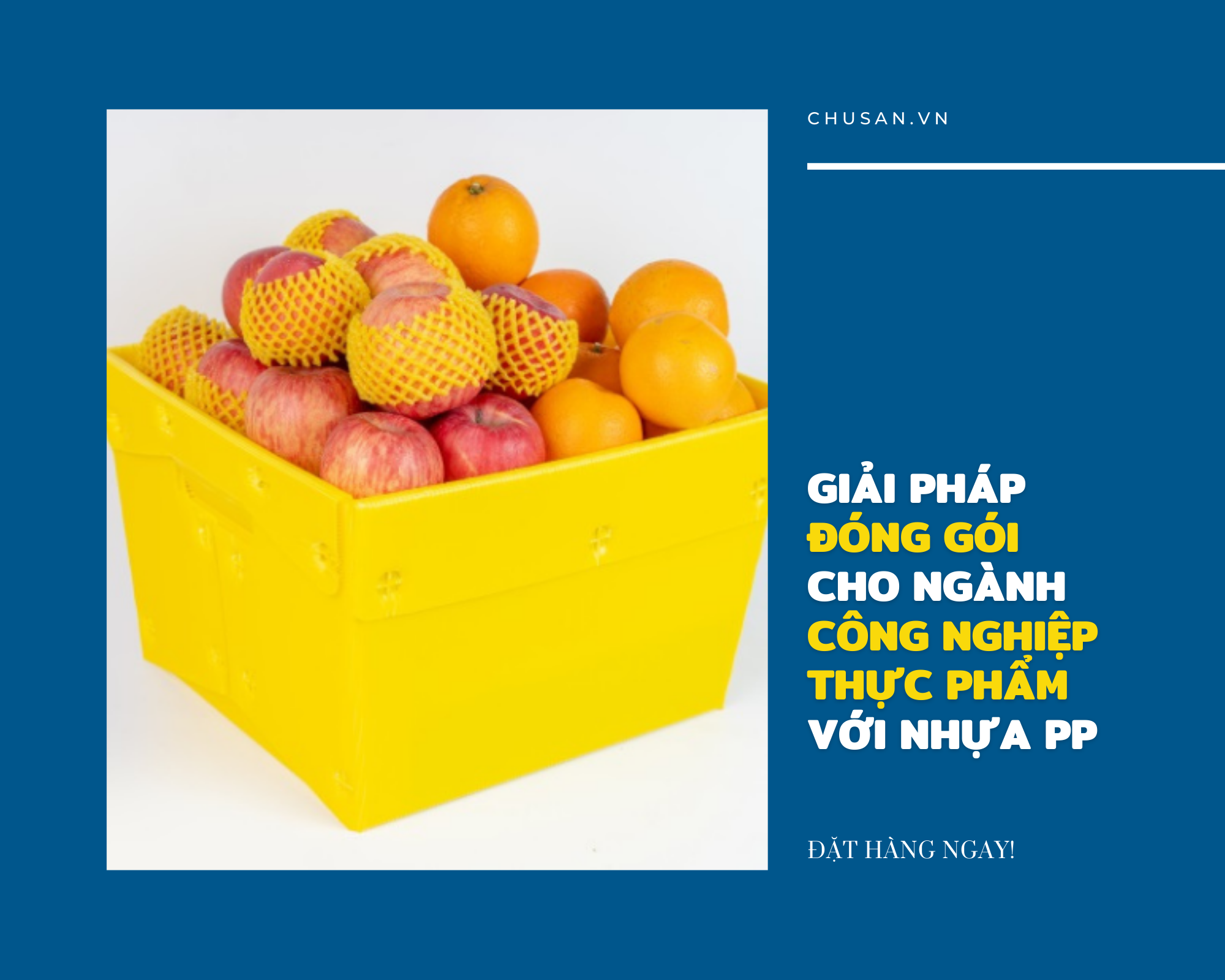 Giải Pháp Đóng Gói Cho Ngành Công Nghiệp Thực Phẩm Với Thùng Nhựa PP