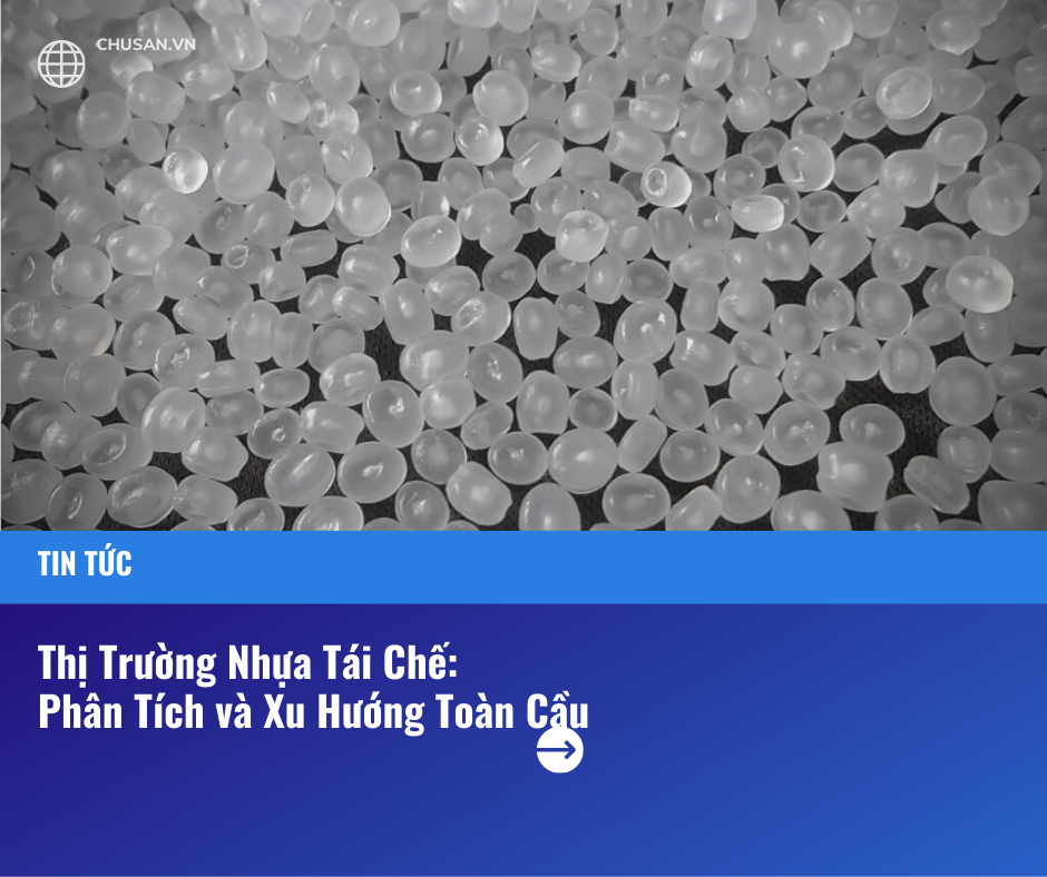 Thị Trường Nhựa Tái Chế: Phân Tích và Xu Hướng Toàn Cầu