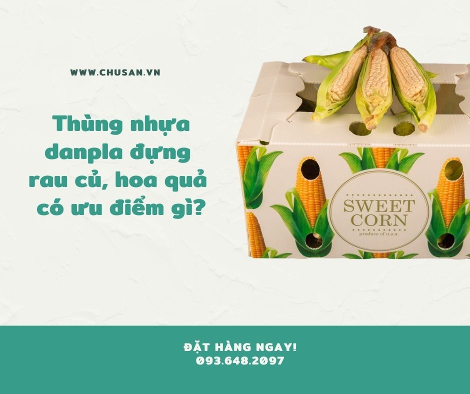 Tại Sao Nên Sử Dụng Thùng Nhựa Danpla Đựng Hoa Quả Rau Củ?