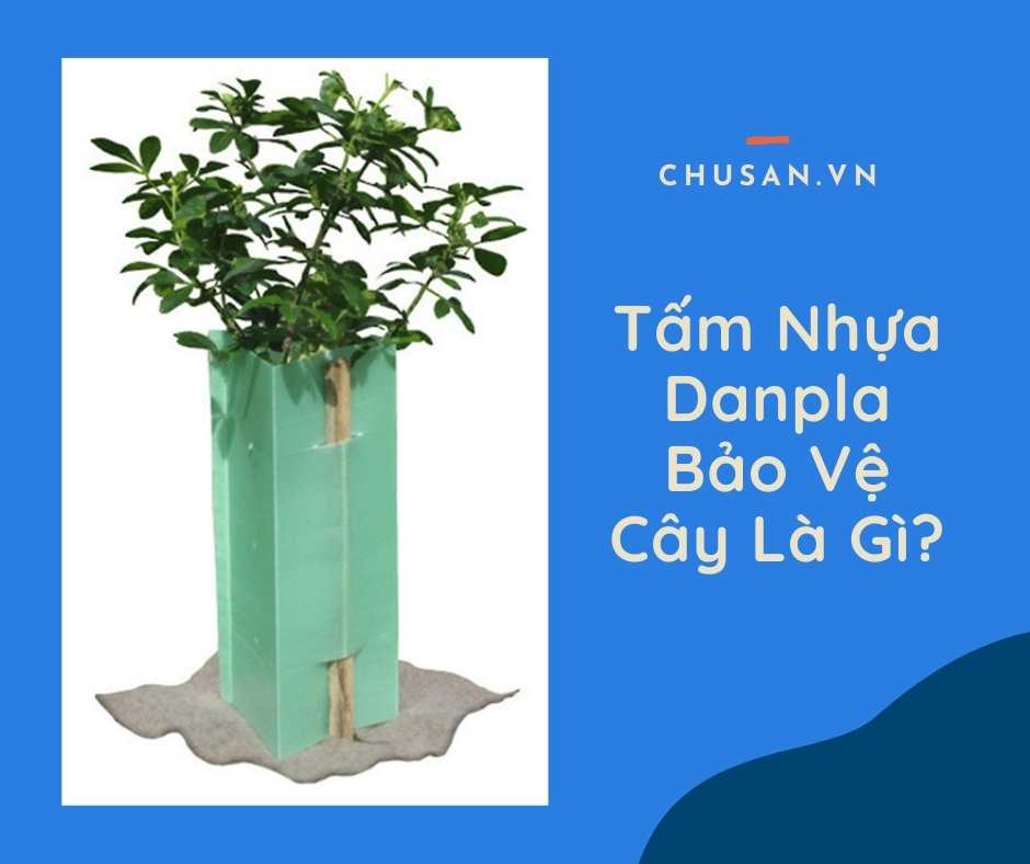 Tấm Nhựa Danpla Bảo Vệ Cây Là Gì?