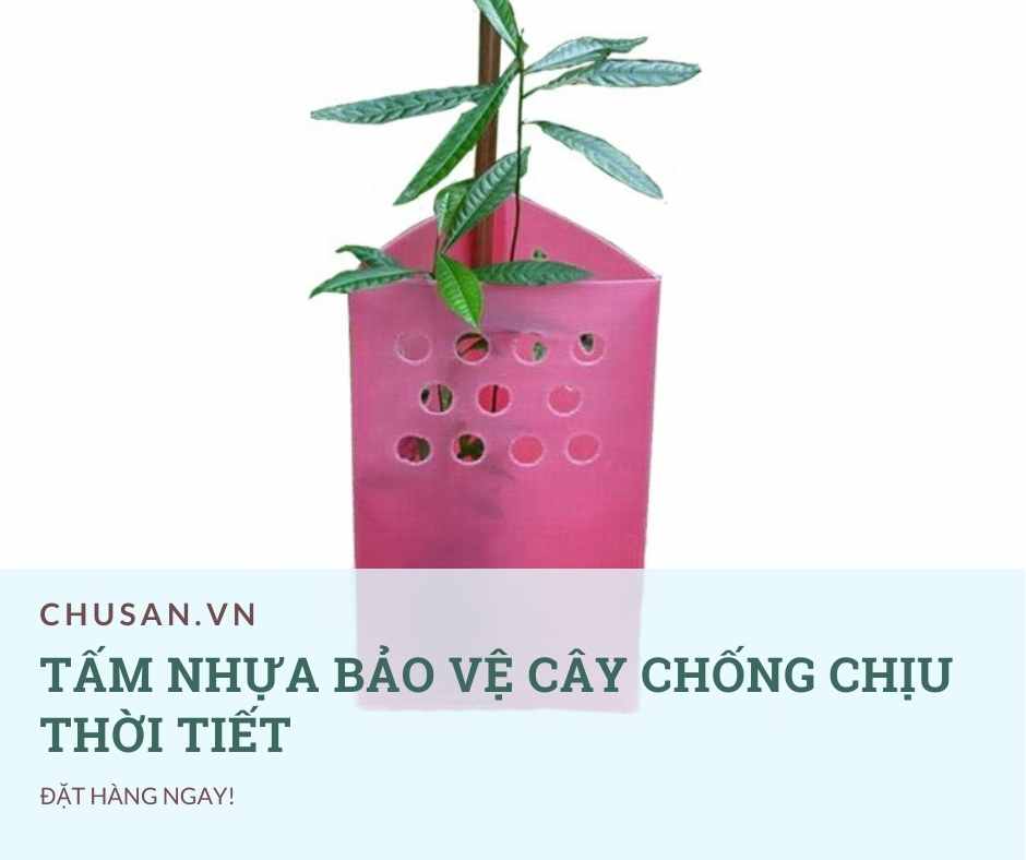 Tấm Nhựa Bảo Vệ Cây Danpla Chống Chịu Thời Tiết