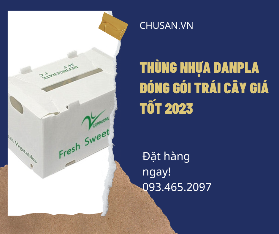 Thùng Nhựa Danpla Đóng Gói Trái Cây Giá Tốt 2023