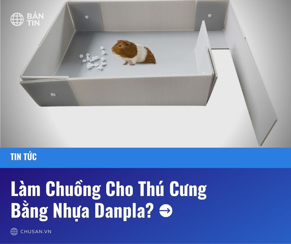 Làm Chuồng Cho Thú Cưng Bằng Nhựa Danpla Có Hại Không?