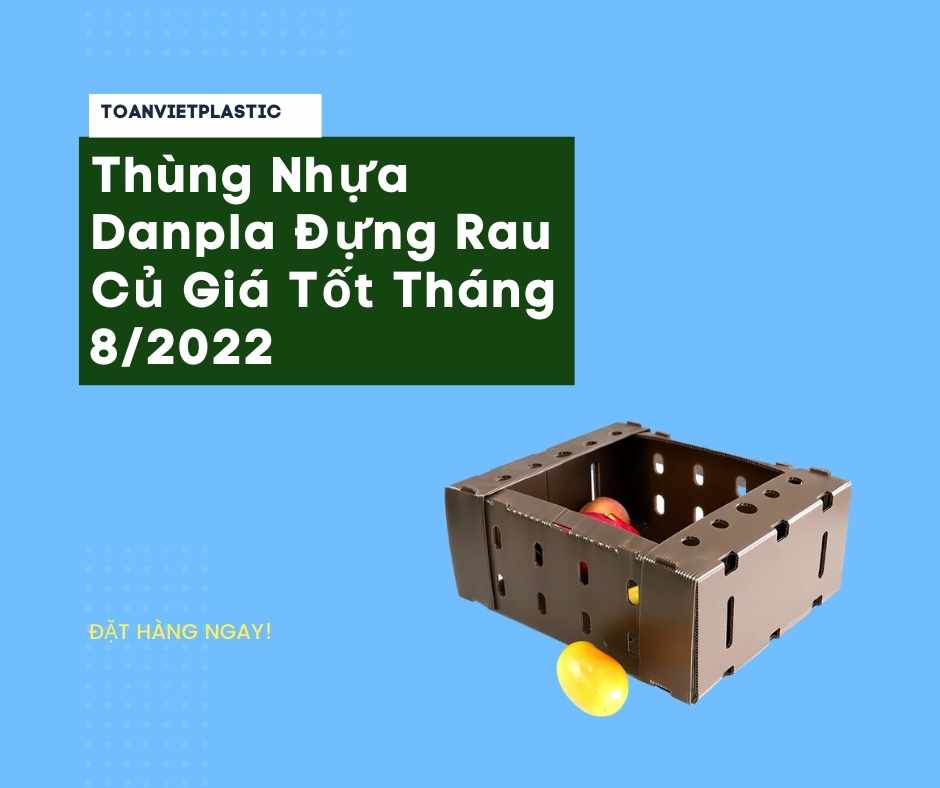 Thùng Nhựa Danpla Đựng Rau Củ Giá Tốt Tháng 8/2022