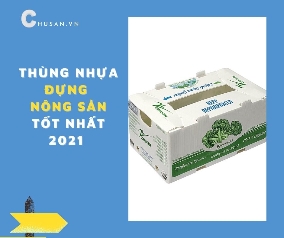 Thùng Nhựa Đựng Nông Sản Tốt Nhất 2021 - Chusan Việt Nam