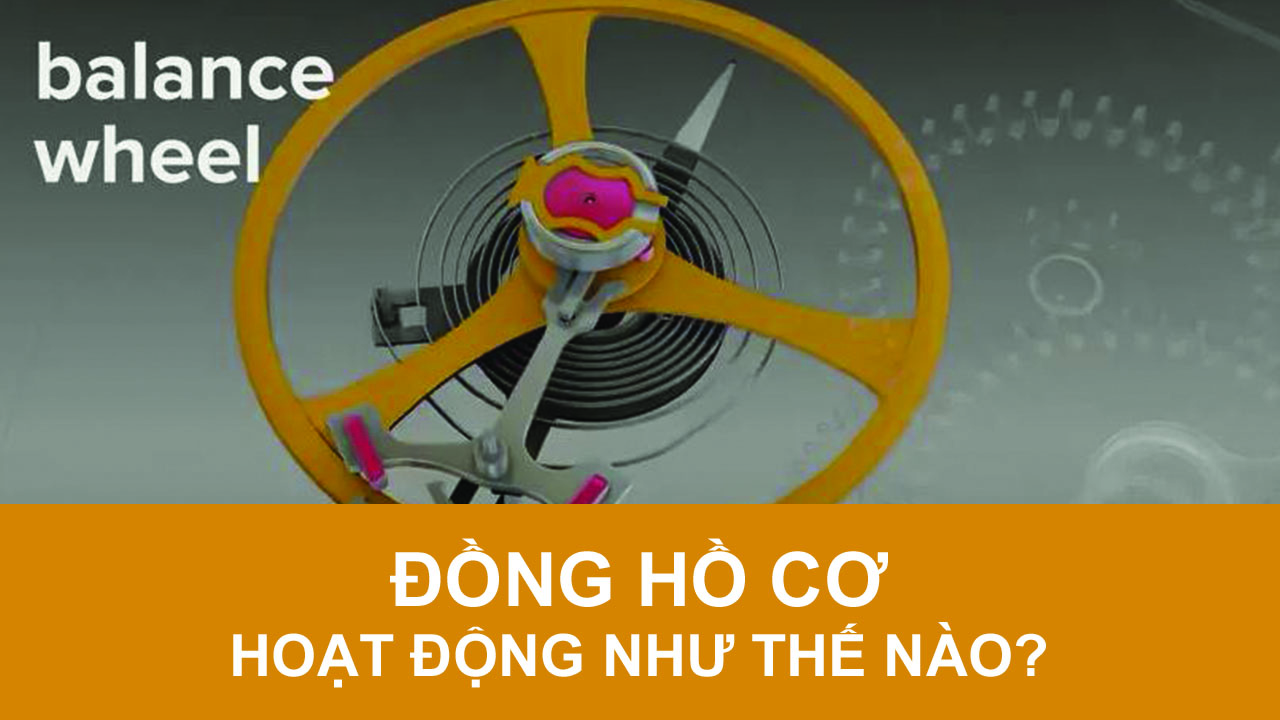 Video: Những chiếc đồng hồ cơ hoạt động như thế nào? Video: Những chiếc đồng hồ cơ hoạt động như thế nào?