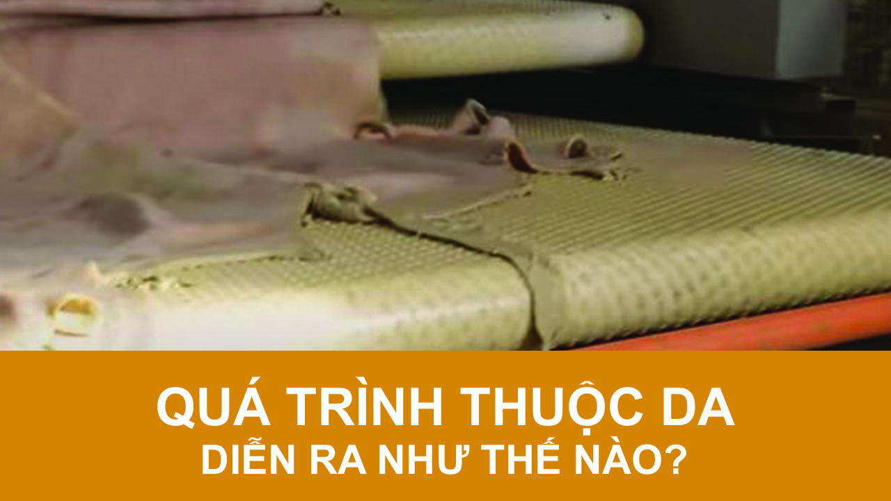 Video: Quy trình thuộc da và hoàn thiện? Video: Quy trình thuộc da và hoàn thiện?