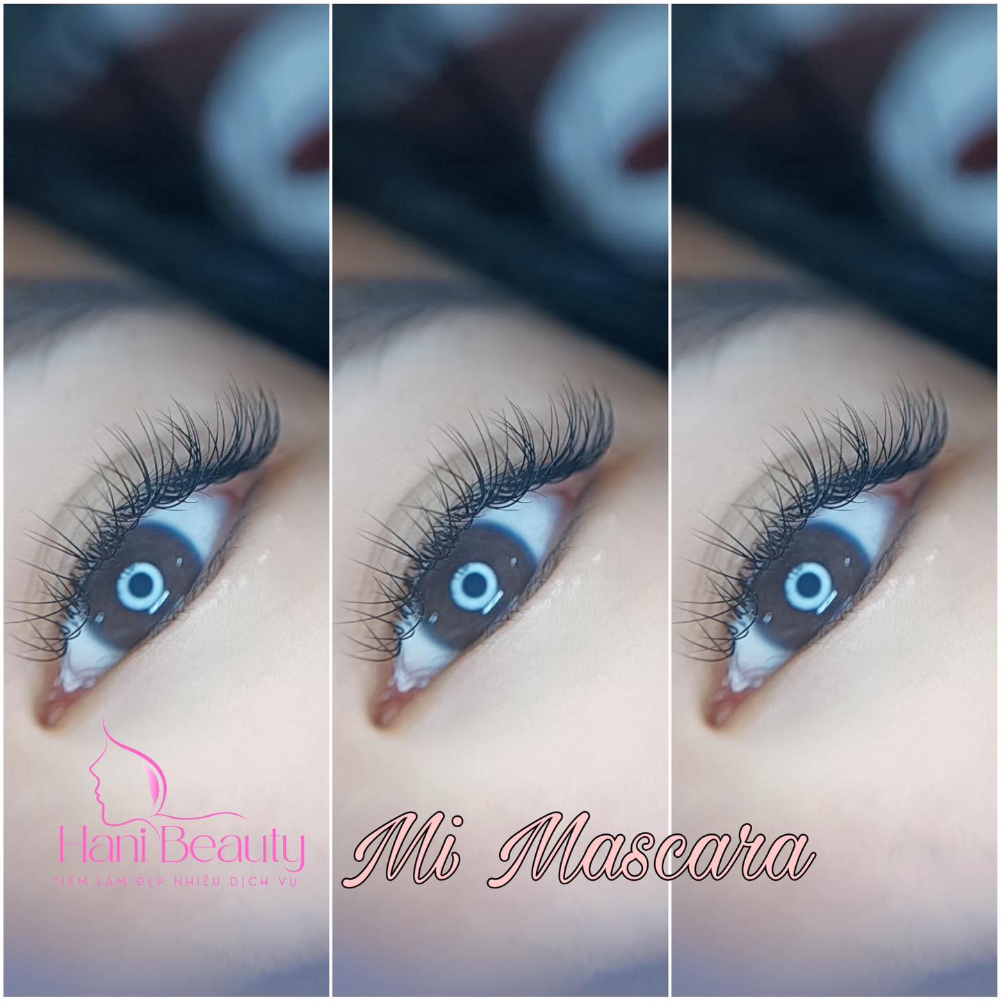 Nối mi mắt một mí nên lựa chọn kiểu dày đậm hay thưa mỏng tự nhiên?