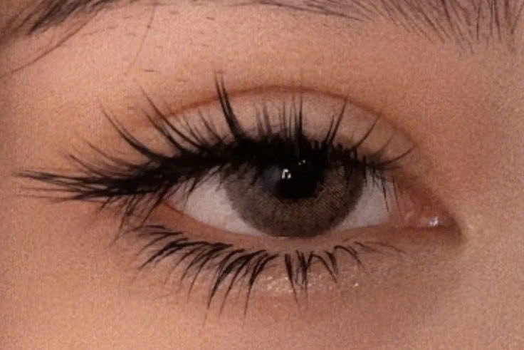 Nối Mi Mắt Cáo – Bí Quyết Sở Hữu Ánh Nhìn Sắc Sảo Và Cuốn Hút