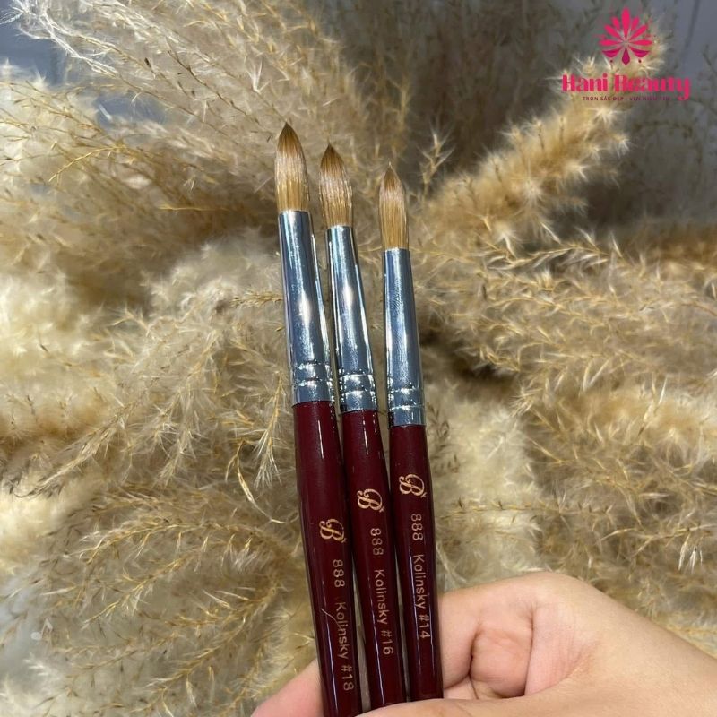 Mẹo nâng cao & lưu ý chuyên nghiệp từ Hani Beauty Tool