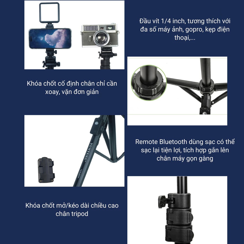 Gậy chụp ảnh 3 chân quay video Yunteng VCT-91666