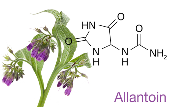 Allantoin: Thành phần chăm sóc da dịu nhẹ mà bạn nên biết