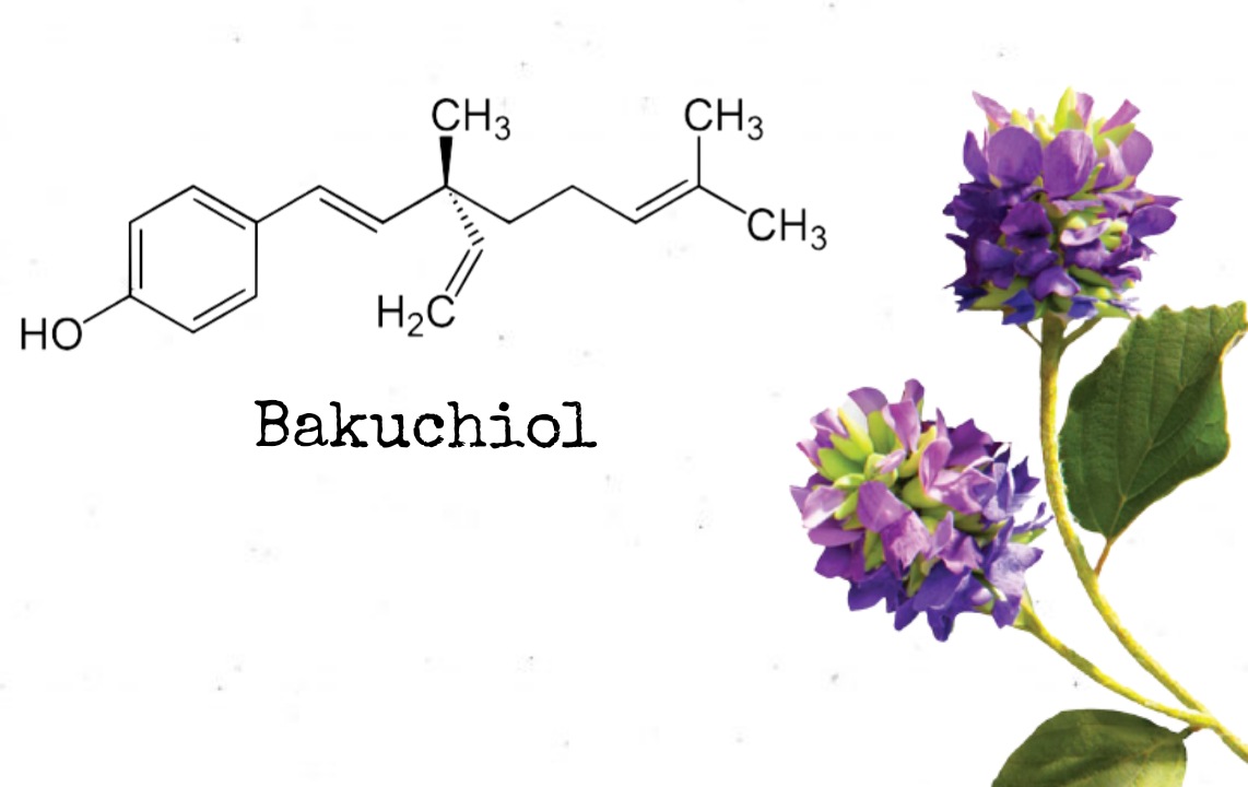 Bakuchiol-giải pháp mới, tự nhiên, dịu nhẹ thay thế cho retinol