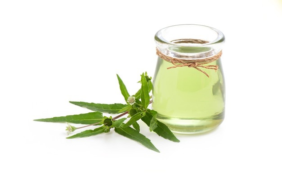 Dầu Ayurvedic có thể giúp chữa rụng tóc, gàu và bạc sớm