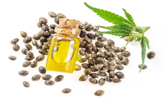 Lý do Dầu hạt gai dầu tuyệt vời cho làn da của bạn